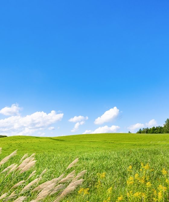 Dlaczego niebo jest niebieskie?